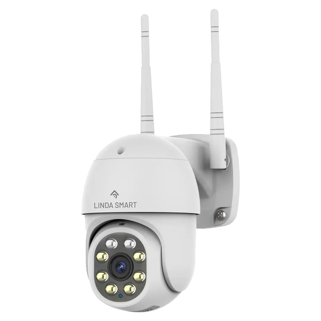 Cámara Domo Exterior Smart